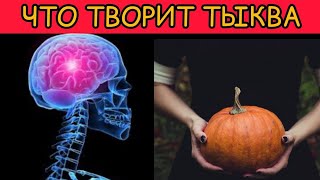 Почему ТЫКВА опасна для здоровья: Необратимые процессы в организме#пользаивред #тыква #здоровье