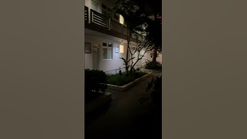Thumbnail of Evening sound at our hotel here in Puerto Rico #shorts #trending #viral #coqui #frog #vacation