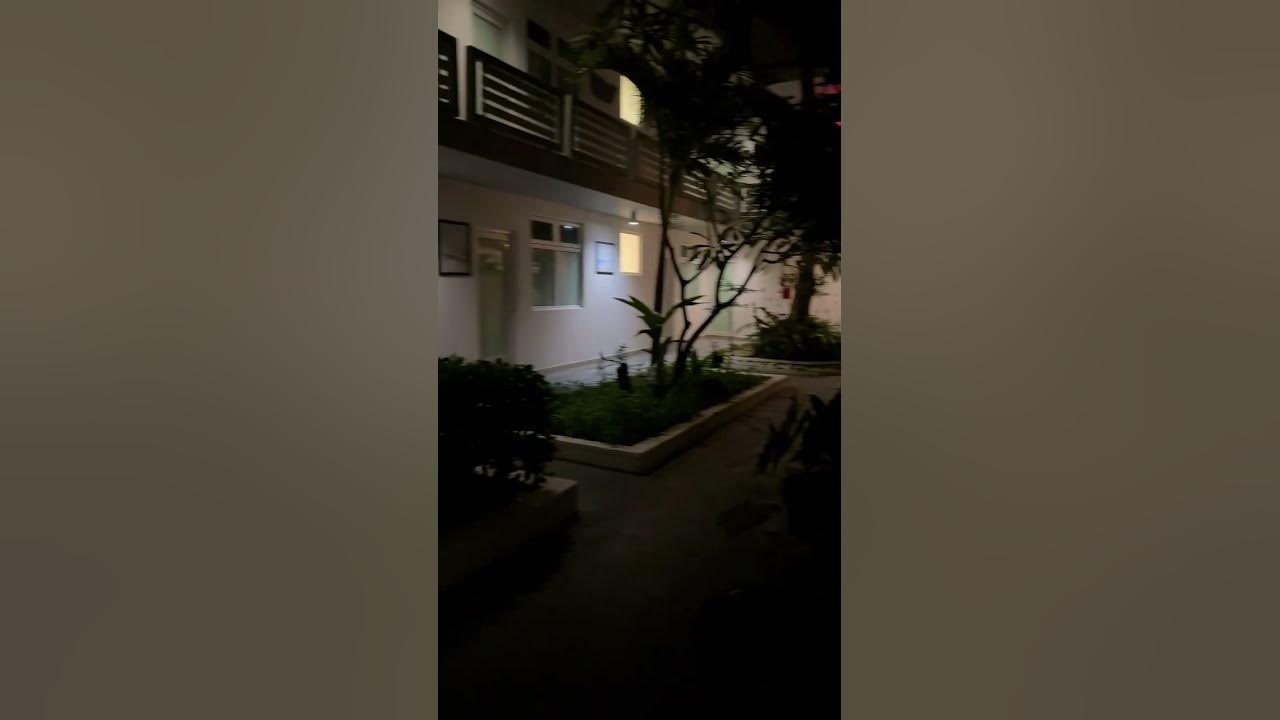 Evening sound at our hotel here in Puerto Rico #shorts #trending #viral #coqui #frog #vacation
