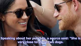 Prince Harry And Meghan Markle Engagement Announcement Imminent