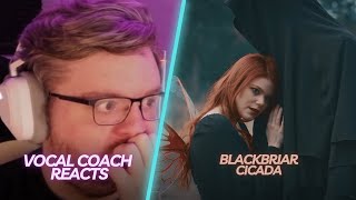 The Aesthetic Is PEAK! | Blackbriar - Cicada | Vocal Coach Reacts