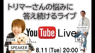 伊佐さんコラボ　ZOOM対談　トリマーの働き方について　　【お悩み相談】