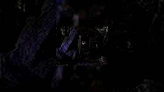 The pointed tail must not be followed #deltarune #foundfootage #analoghorror