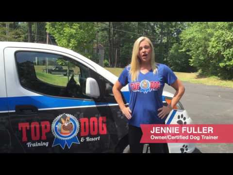 delivery-service-for-dogs-at-top-dog-training-and-resort