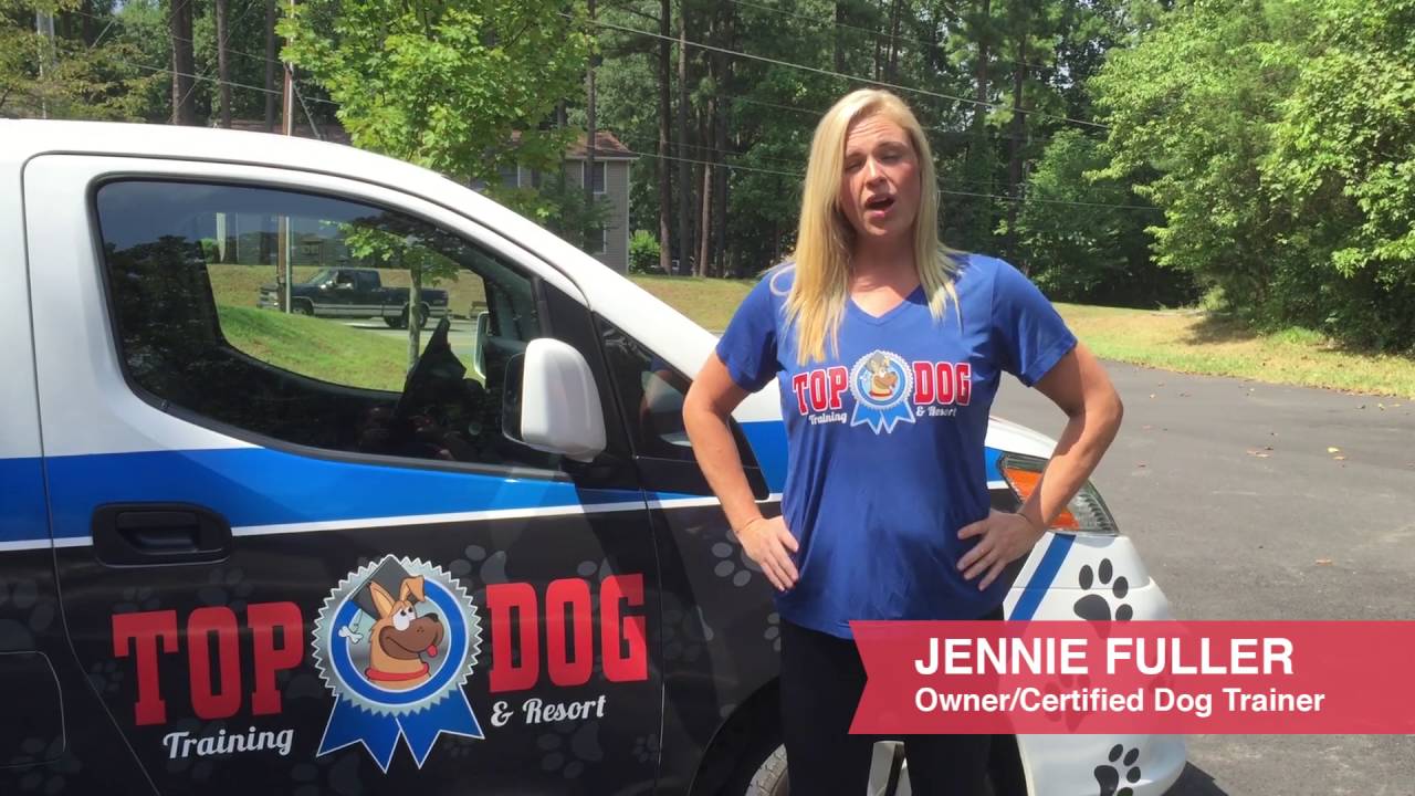 Delivery Service for Dogs at Top Dog Training and Resort YouTube