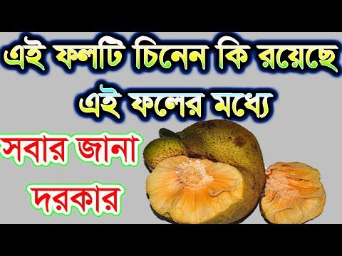 ভিডিও: পুরুষ সদস্য: আকারের কি ব্যাপার?