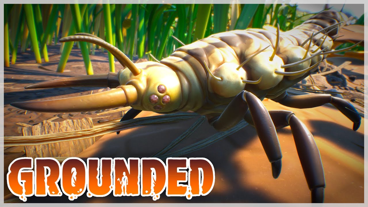 #02 WOAH Hardest Difficulty | Grounded