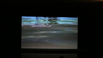 Cécile B. Evans, “What the heart wants” (2016, fragment)