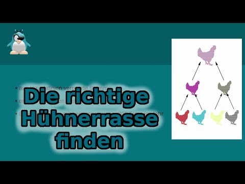 Video: So Wählen Sie Das Richtige Huhn Right