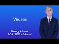 The Life Cycle and Structure of Viruses Explained