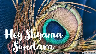 Video-Miniaturansicht von „Hey Shyama Sundara | Mesmerising Sathya Sai Bajan“