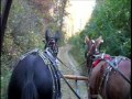 Mule Team Wagon Ride - Eastern Tennessee