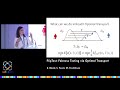 FlipTest: Fairness Testing via Optimal Transport