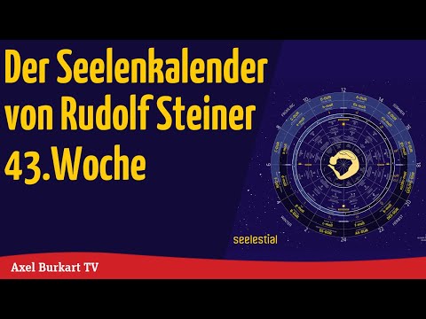 Video: Die unglücklichsten Starbilder der Woche