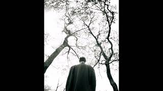 {FREE} SAMPHA X KENDRICK LAMAR TYPE BEAT "HOLIDAY"