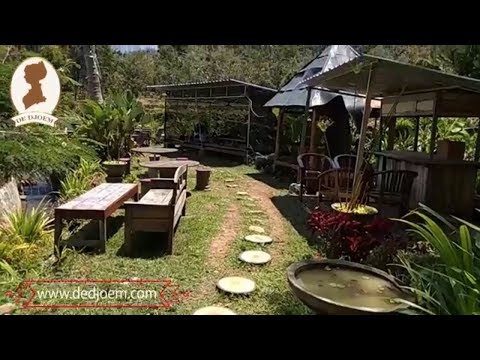 Video: Kafe Dalam Pemandangan