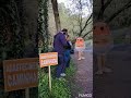 Caminhada da Primavera na Freguesia de Queimadela.