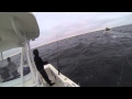 tony on striper @ block island