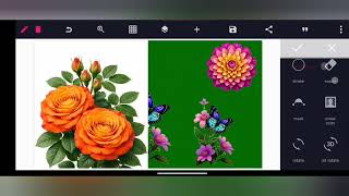 How to Use Shapes in Pixellab Like a Pro screenshot 5