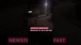 Wexford Gardaí confirm the Cat in the Hat’s not there - the online pics are an AI scare! | Newstalk
