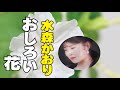 水森かおり【おしろい花】(歌詞付き) デビュー曲・ 松井由利夫(作詞)/黒川龍(作曲)