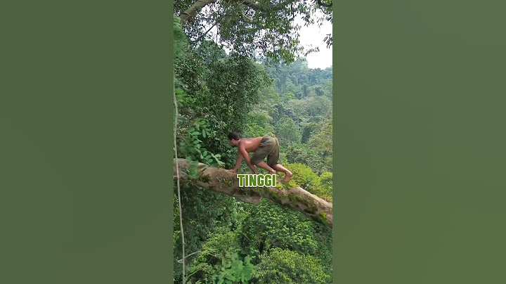 Tarzan Dunia Nyata🔥🇮🇩