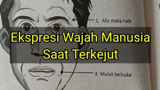 EKSPRESI WAJAH MANUSIA SAAT TERKEJUT