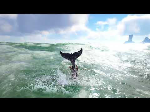 : New Sea Tame: Dolphins