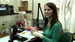 Emily Day - Gold Nanoshells, Synthesis and Demonstration