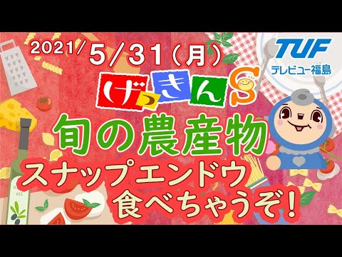 [げっきんS]旬の農産物～スナップエンドウ食べちゃうぞ！