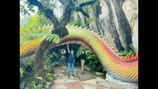 Our Familys Good Times.