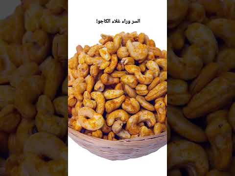 السر وراء غلاء الكاجو وهتتصدم لما تعرف انه فى الأصل فاكهة 