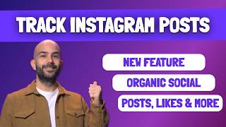 Panoramata Update: Instagram Accounts Competitors Tracker