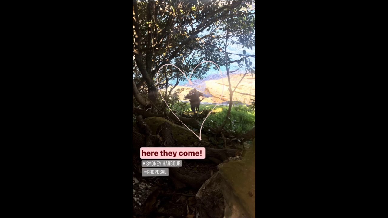 Romantic Island Proposal Sydney I My Proposal Co.