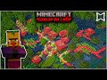 ► Building A Mangrove Swamp Villages In Minecraft | Timelapses