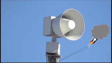 The random siren shorts 4