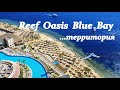 Отель...Reef Oasis  Blue Bay 5 - Такое бывает? Завтрак в нескольких шагах от кораллового рифа!