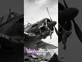 They Fired “Zero Bullets” — Japan Lost Fighters 1 #history #ww2rebuilder #facts #viral #viralvideo