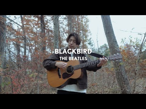 Michael Kaneko- Blackbird (The Beatles cover) | unplugged stories