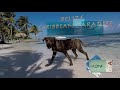 Belize 2017  caye caulker sanpedro  blue hole