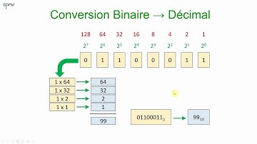ELNU - The Binary Code