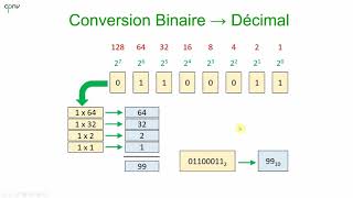 ELNU - The Binary Code