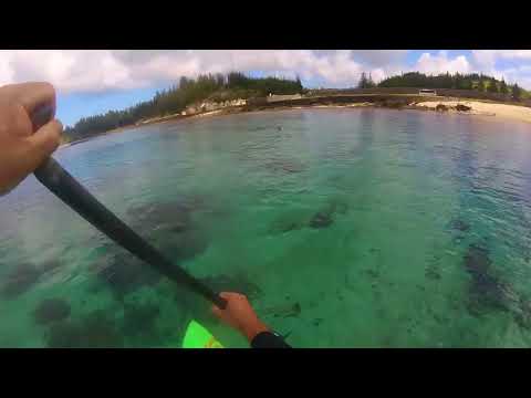 9 11 reef cruz