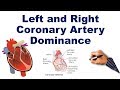 Coronary Artery Left and Right Dominance | USMLE Step NCLEX COMLEX