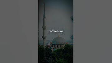 يا أيها الذين آمنوا توبوا إلى الله توبة نصوحا | كرومات قرآن فارس عباد شاشة سوداء سورة التحريم #gaza​