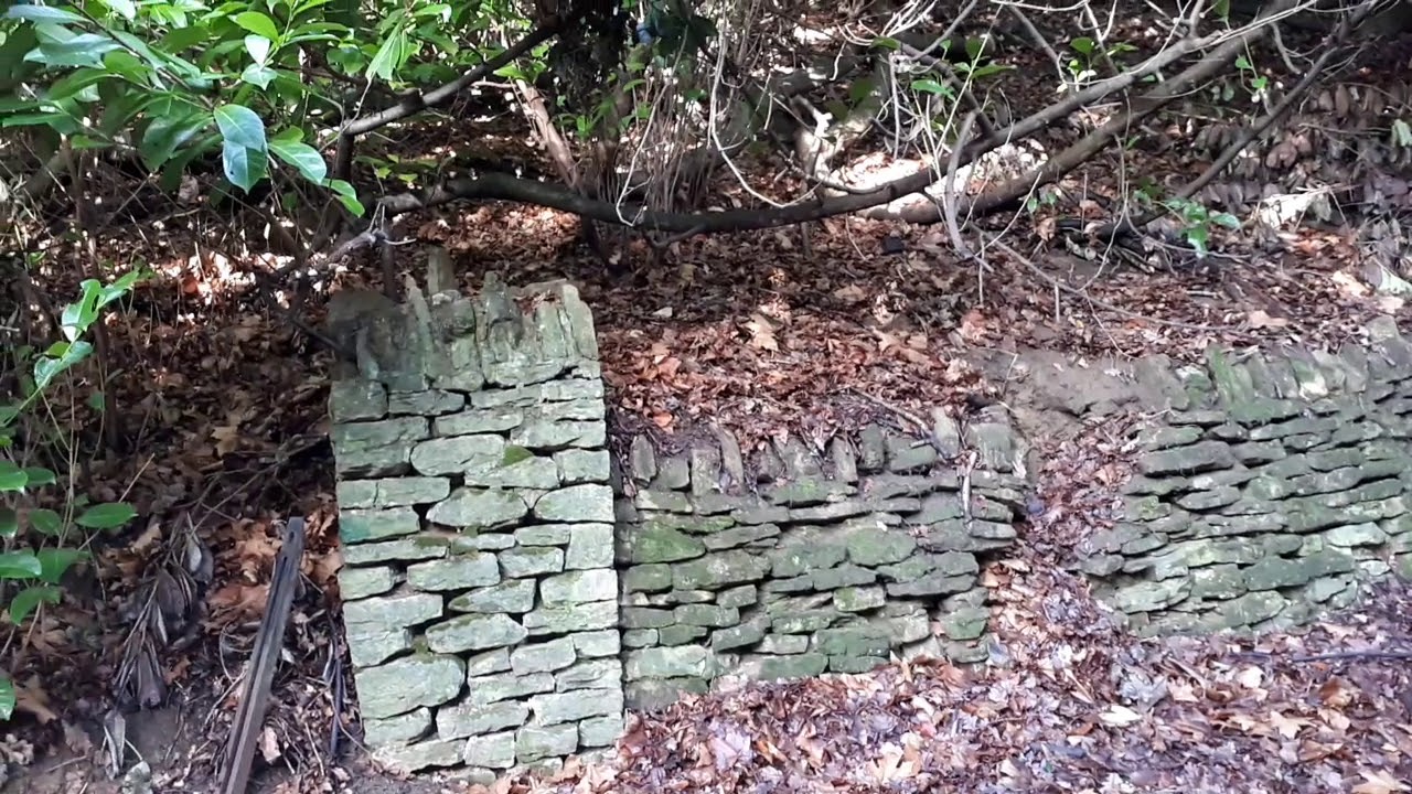 Прогулка по настоящей Англии. тайные знания о деньгах