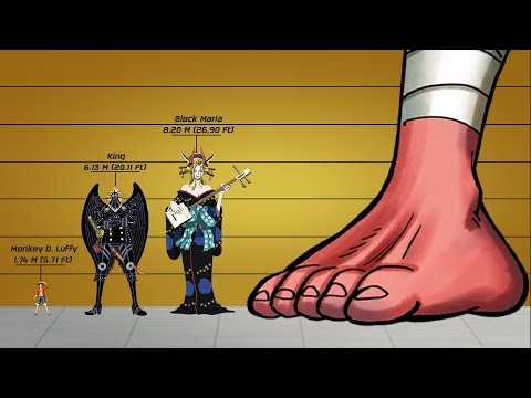 ALL ONE PIECE CHARACTERS SIZE COMPARISON (Over +400)