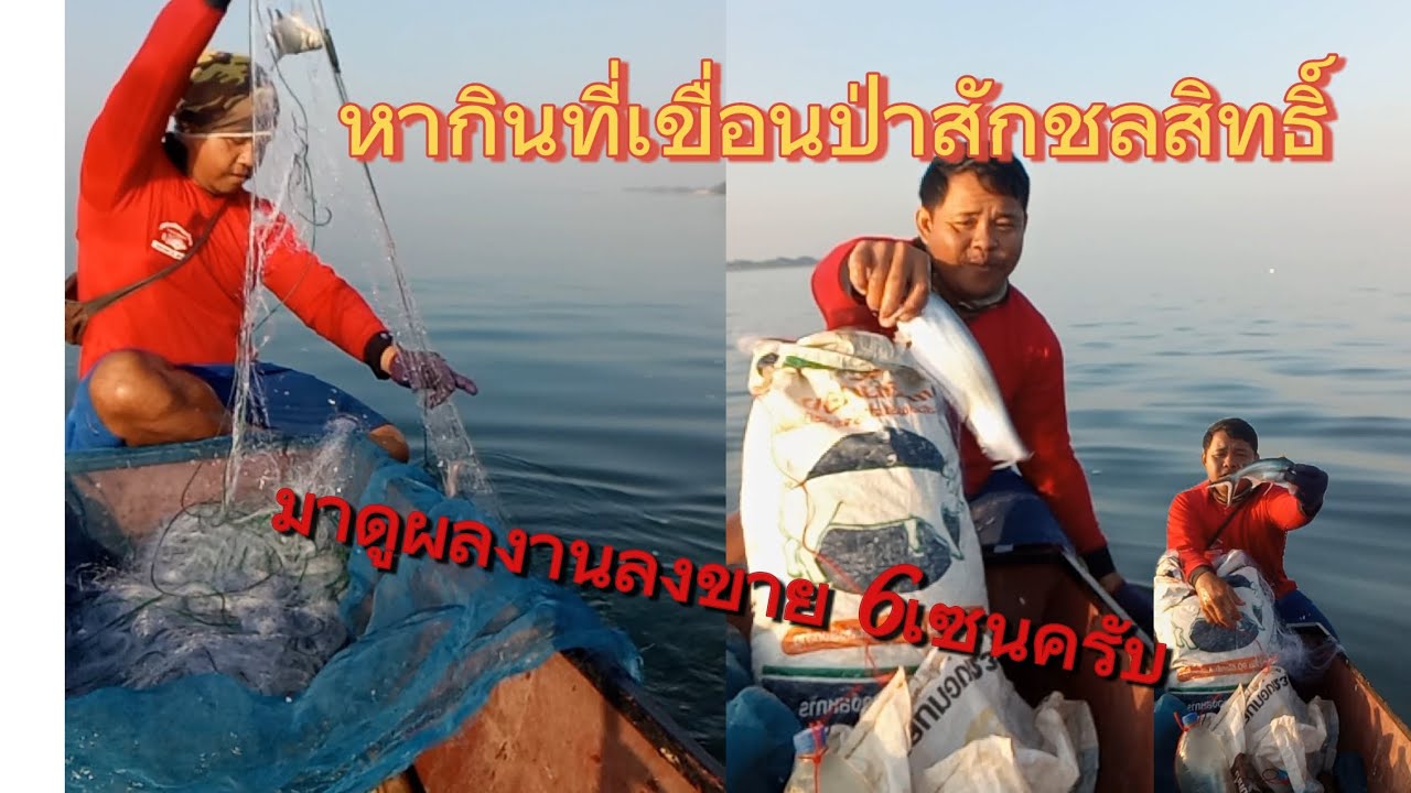 หมานนิดหน่อยครับผมเก็บข่าย 6 เซน มาชมผลงานกันได้เลยครับ