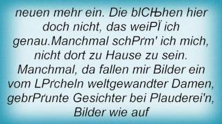 Reinhard Mey - Manchmal, Da Fallen Mir Bilder Ein Lyrics