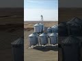 Top Quality Grain Storage: Hopper & Flat Bottom Bins #agriculture